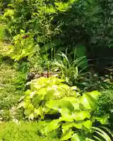 寿量山 速成寺(奈良県)