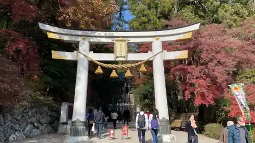 宝登山神社の鳥居