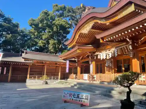 亀ケ池八幡宮の本殿・本堂