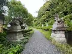 高石神社の狛犬