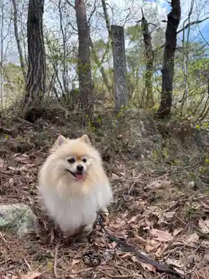 村山虚空蔵院(山形県)
