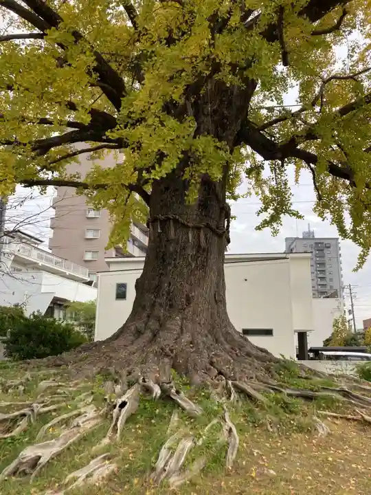津島神社(愛知県)