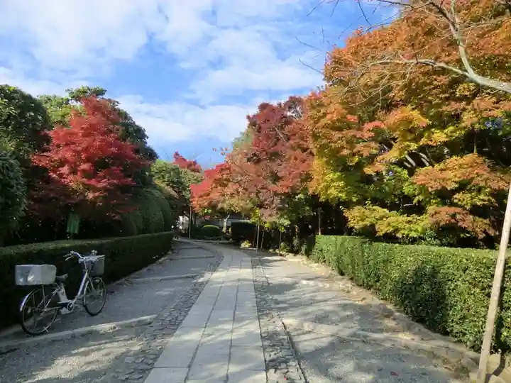 龍安寺(京都府)