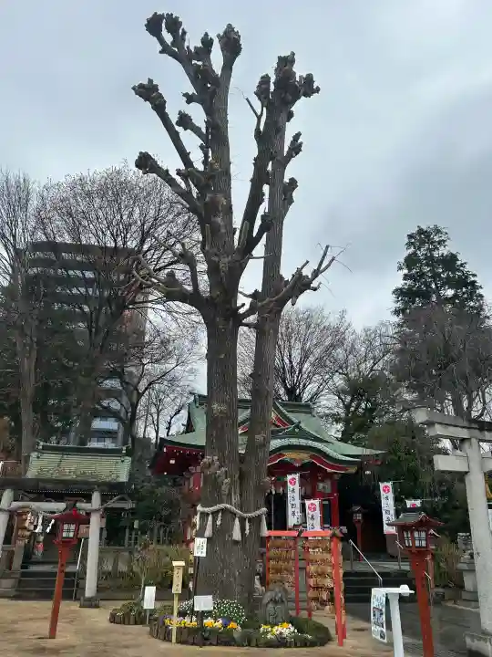 川越八幡宮の{uncategorized: "未分類", other: "その他", undefined: "問題あり", building: "その他建物", grave: "お墓", sacred_gate: "鳥居", guardian: "狛犬", statue: "像", buddha: "仏像", history: "歴史", nature: "自然", garden: "庭園", animal: "動物", pagoda: "塔", temizu: "手水舎", mountain_gate: "山門・神門", sanctuary: "本殿・本堂", subordinate: "末社・摂社", art: "芸術", scenery: "景色", jizo: "地蔵", ema: "絵馬", goshuin: "御朱印", omikuji: "おみくじ", items: "授与品その他", amulet: "お守り", goshuincho: "御朱印帳", eats: "食事", festival: "お祭り", votive_dance: "神楽", shichigosan: "七五三参", wedding: "結婚式", experience: "体験その他", initially: "初詣", around: "周辺", anti_infection: "感染症対策"}