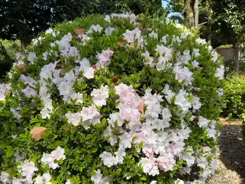 美奈宜神社(福岡県)