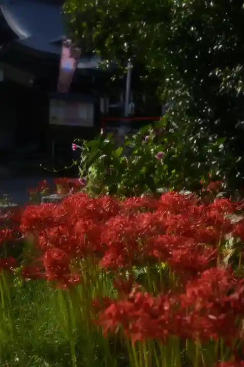 磐井神社の自然