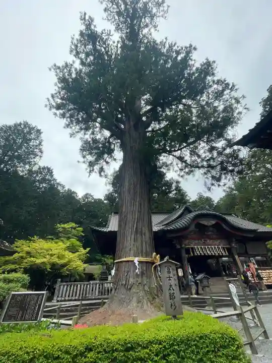 北口本宮冨士浅間神社の{uncategorized: "未分類", other: "その他", undefined: "問題あり", building: "その他建物", grave: "お墓", sacred_gate: "鳥居", guardian: "狛犬", statue: "像", buddha: "仏像", history: "歴史", nature: "自然", garden: "庭園", animal: "動物", pagoda: "塔", temizu: "手水舎", mountain_gate: "山門・神門", sanctuary: "本殿・本堂", subordinate: "末社・摂社", art: "芸術", scenery: "景色", jizo: "地蔵", ema: "絵馬", goshuin: "御朱印", omikuji: "おみくじ", items: "授与品その他", amulet: "お守り", goshuincho: "御朱印帳", eats: "食事", festival: "お祭り", votive_dance: "神楽", shichigosan: "七五三参", wedding: "結婚式", experience: "体験その他", initially: "初詣", around: "周辺", anti_infection: "感染症対策"}