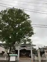 伊勢崎神社(群馬県)