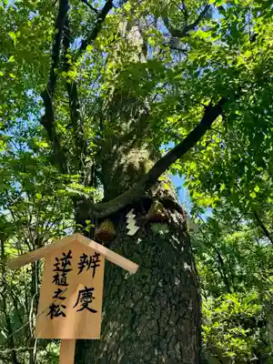 安宅住吉神社(石川県)