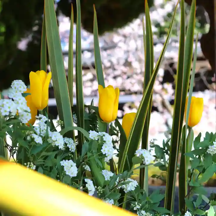 三津厳島神社の手水舎