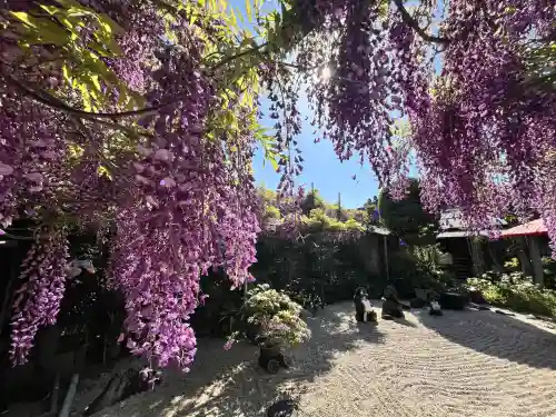 市場稲荷神社(大阪府)