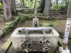 真禅院の手水