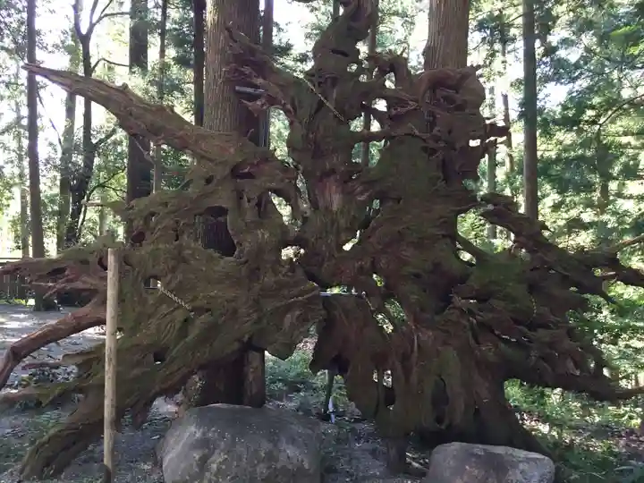 水屋神社(三重県)
