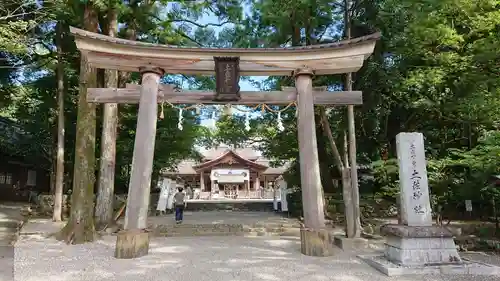 土佐神社の鳥居