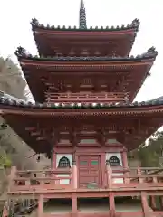 三室戸寺の建物その他