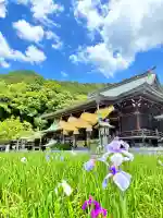 宮地嶽神社(福岡県)
