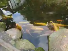 楽法寺（雨引観音）の動物