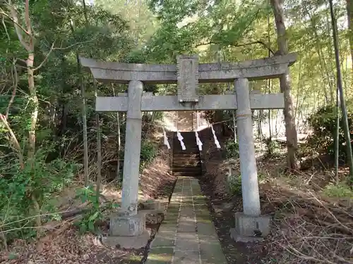 吉田杉山神社の鳥居