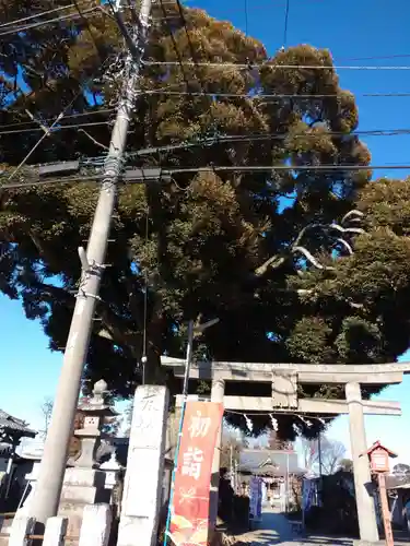 境香取神社の鳥居