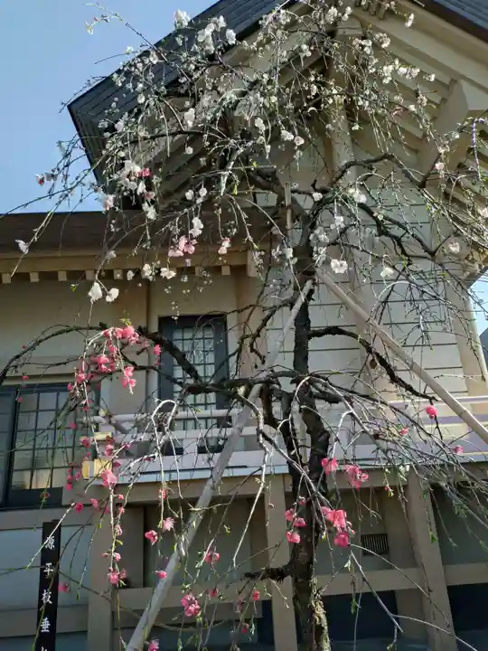 蛇窪神社(東京都)