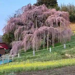 豊景神社(福島県)(2023年04月01日(土) 08時31分24秒投稿)