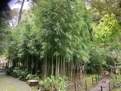 浄智寺(神奈川県)