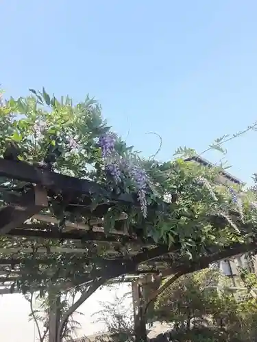 西方山極楽寺(岐阜県)