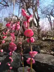 北野天満宮(京都府)