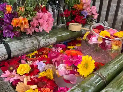 豊平神社の手水舎