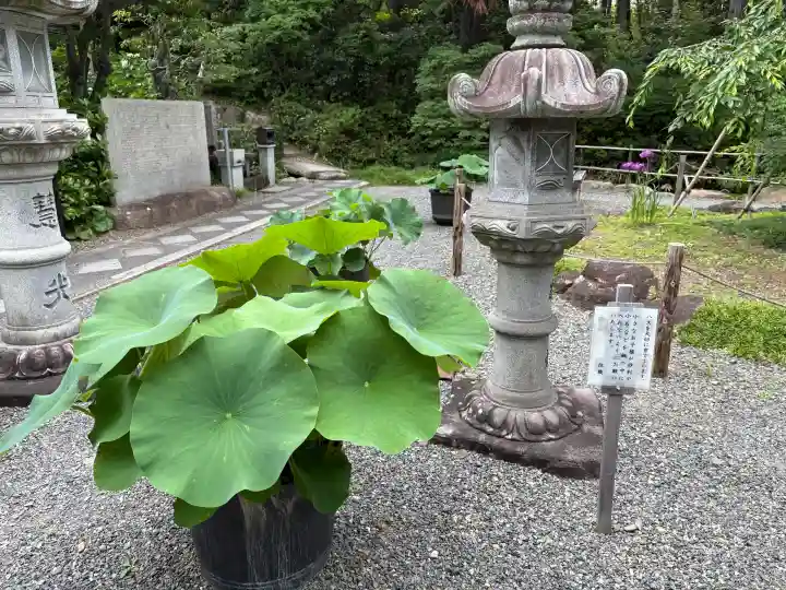頼光寺(兵庫県)