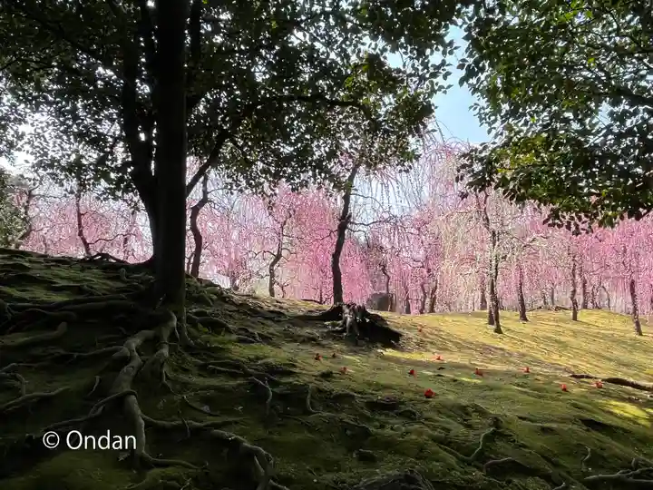 城南宮(京都府)