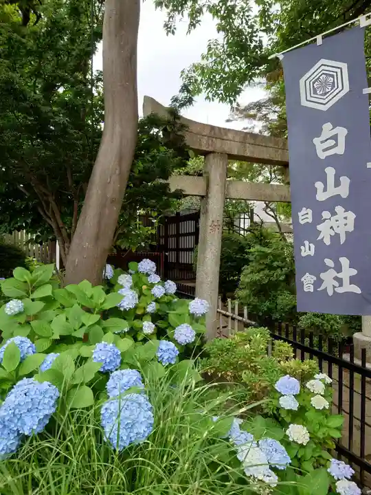 白山神社のその他建物