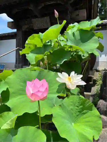 香勝寺(静岡県)