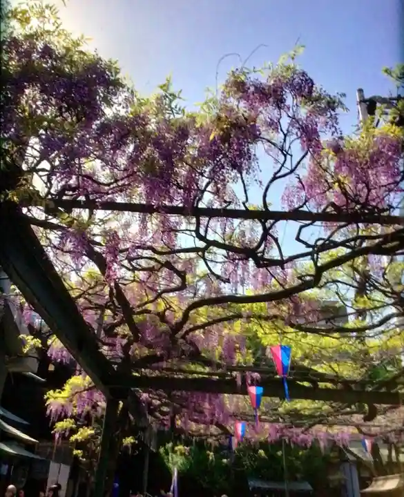 國領神社(東京都)