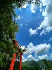 子檀嶺神社の鳥居