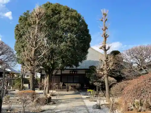 清泰寺の本殿