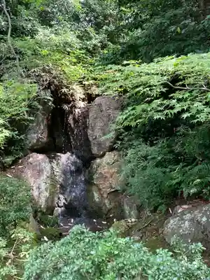 法金剛院(京都府)