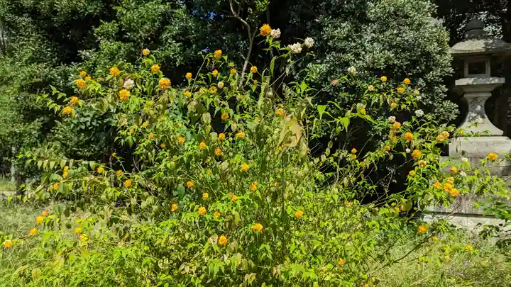 梨木神社(京都府)