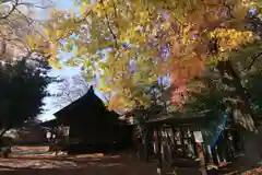 日吉神社の景色