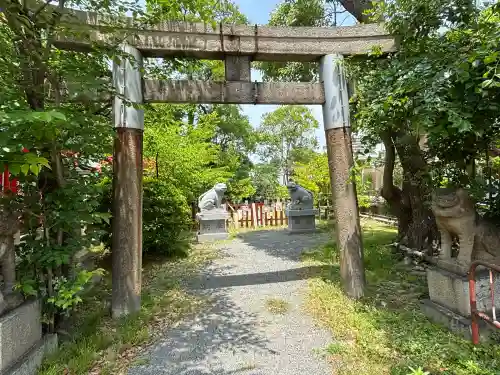 大江神社の鳥居