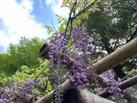 佐野原神社(静岡県)