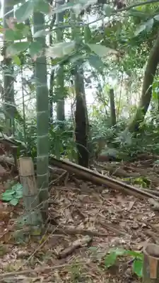 月讀神社の自然