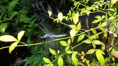 霊源院(京都府)