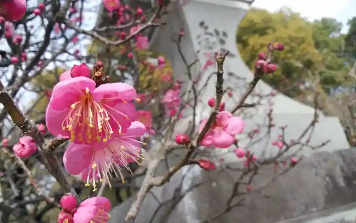 太宰府天満宮の自然