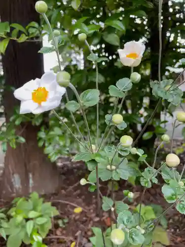 比々多神社の自然