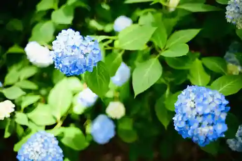 浄土寺(兵庫県)
