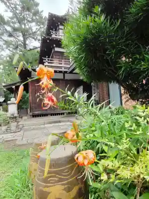 観音寺（世田谷山観音寺）の末社・摂社