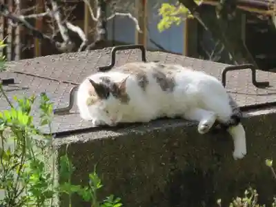 熊野若王子神社(京都府)