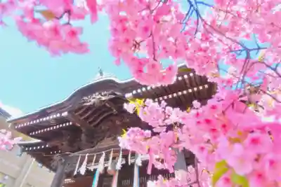 桜神宮(東京都)