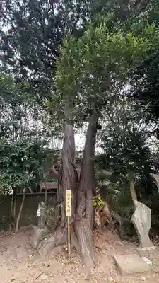 星宮神社(栃木県)